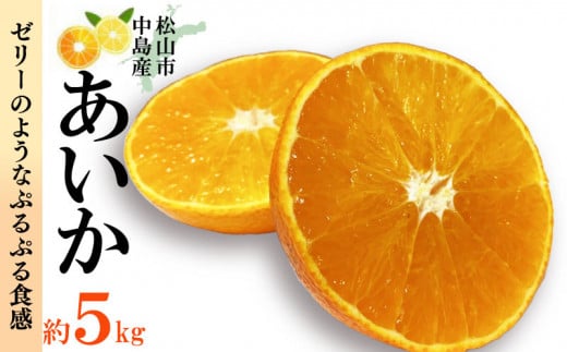 y150ZbgIzy12{蔭Jnz Gi 5kg (2L × 20ʓ) Mtg v[g ʕ t[c R 28  ݂ 12QRs35000ʕEt[c݂E