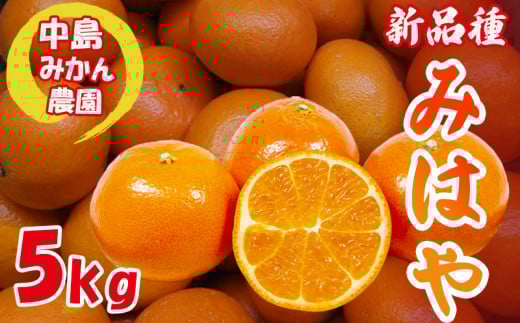 y2025N12甭z݂͂ ƒp5kgQRs15000ʕEt[c݂Ek