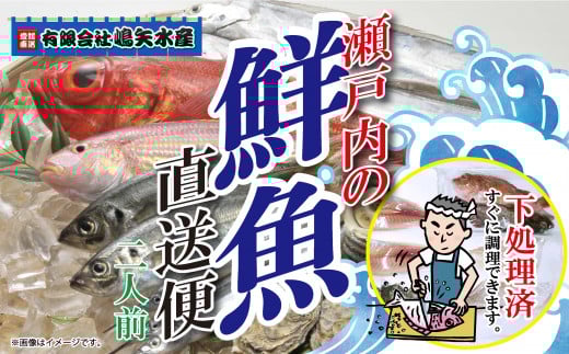 【嶋矢水産】 瀬戸内の鮮魚 直送便 下処理済み 産地直送 10000円 台 二人前 刺身 煮魚 焼き魚 瀬戸内海 愛媛 松山 老舗 魚 人気 イサキ タイ 鯛 ワカナ サワラ 鰆 炙り メバル オコゼ イサキ チ