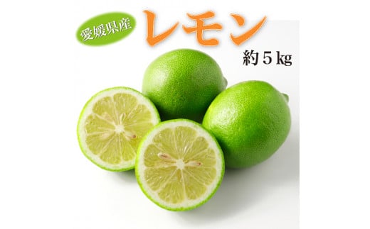 【2025年12月から発送】愛媛県産レモン約5kg  秀 L〜M サイズ(約35〜43 個)【高島屋選定品】フルーツ 果物 レモン 柑橘 レモネード レモンシロップ 大容量愛媛県松山市23000果物・フルーツみ