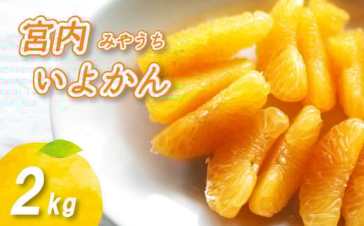 【2026年1月上旬から順次発送】 宮内いよかん 2kg愛媛県松山市5000果物・フルーツみかん・柑橘類