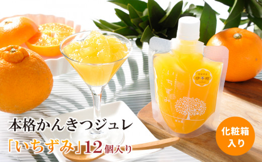 本格かんきつジュレ「いちずみ」 12個入り ( あいか・せとか入り )【化粧箱入り】約2kg (170g×12個) | ゼリー 柑橘ゼリー みかんゼリー 柑橘ジュレ みかん スイーツ 愛果 せとか 愛媛県 松山市