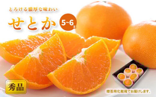 【2月中旬から発送】 せとか <秀品>(2L-3L / 5-6玉)贈答用化粧箱入り | みかん せとか 秀品 愛媛県 松山市 おすすめ 松山市産せとか 柑橘の大トロ「せとか」 柑橘 みかん ミカン せとか 優品