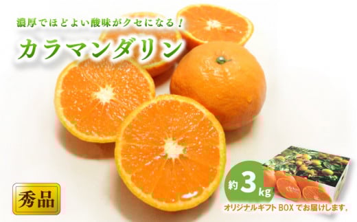 【2026年4月上旬頃から発送予定】カラマンダリン <秀品> 約3kg (M-L) ギフトBOX入り | みかん カラマンダリン 秀品 オレンジ 柑橘愛媛県 松山市 ココオ Koko'o愛媛県松山市13000果物・フルーツみ