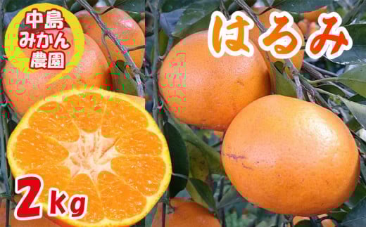 y2026N3甭z ͂  2kgQRs7000ʕEt[c݂Ek