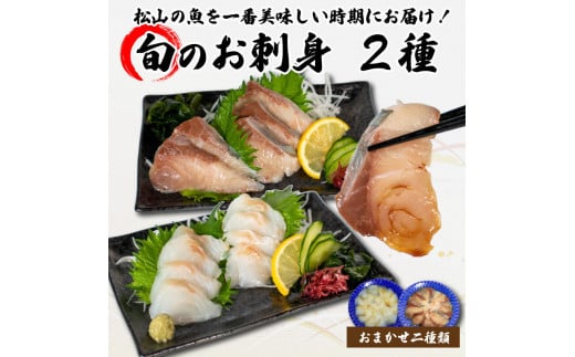 旬のお刺身 2種類 (2~3人前×2種類) 魚 切身 鮮魚 刺身セット 刺身2種盛り 刺身 お刺身 お刺し身 魚介 海の幸 小分け 個包装 冷凍 鯛 カワハギ スズキ イカ サワラ タコ ハマチ ヒラメ 愛媛県 松