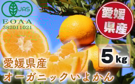 【先行予約】 有機JAS認証 超希少! 愛媛県産 オーガニック いよかん5kg【1月上旬〜2月下旬発送】  安心 安全 こだわり栽培 みかん いよかん 伊予柑 柑橘 愛媛県 松山市愛媛県松山市10000果物