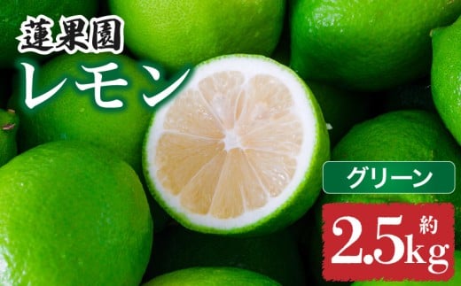 ys\z yO[z y 9甭z ƒp O[ 2.5kg h bNX sgpb 󂠂  EG n k _ Y QY 󂠂 VN Q RQ