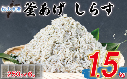 家庭用 釜揚げ しらす 約1.5kg | 家庭用 訳あり 不揃い 国産 しらす干し おつまみ 酒の肴 冷凍 小分け 個包装 便利 おかず 惣菜 弁当 簡単調理 ごはんのお供 加工品 海の幸 しらす丼 グルメ 食