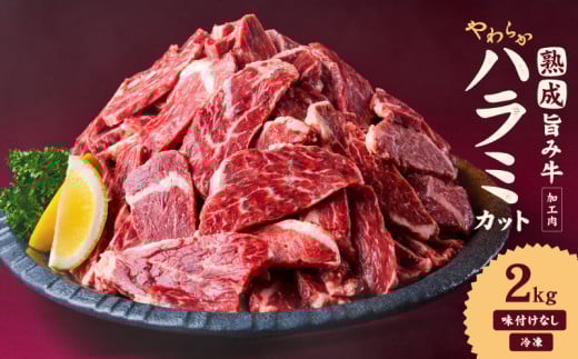 熟成旨み牛やわらかハラミカット 2kg インジェクション加工 牛ハラミ はらみ 肉 小分け200g 個包装 冷凍 焼肉 焼き肉 BBQ バーベキュー ステーキ 丼物 簡単調理 味付けなし 家庭用 業務用 人気