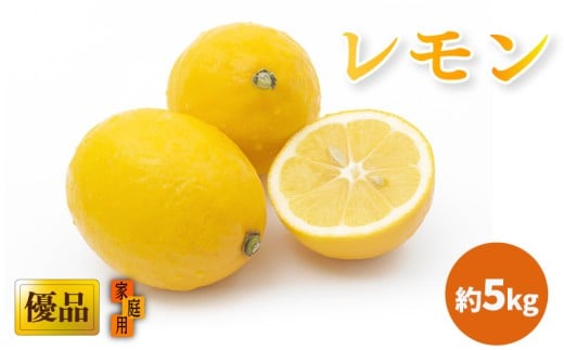 y2026N3{甭z ˓C̓ DiEƒp 5kg b  EG  ̃ ̟EG _ ʌ Ԍ  QY _ L@엿gp  Â 