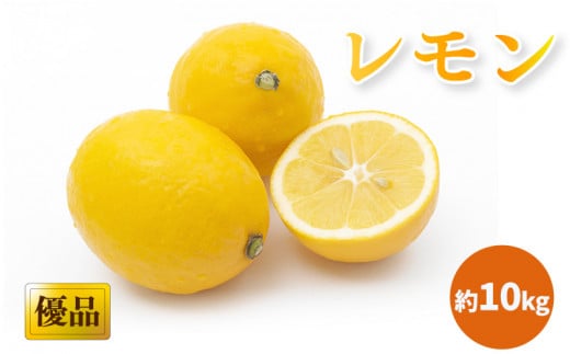 【2026年3月中旬頃から発送】 瀬戸内海の島レモン 優品・家庭用 約10kg | レモン 檸檬 れもん  中島のレモン 中島の檸檬 酸味 数量限定 期間限定 レモン 愛媛県産 減農薬 有機肥料使用  甘み