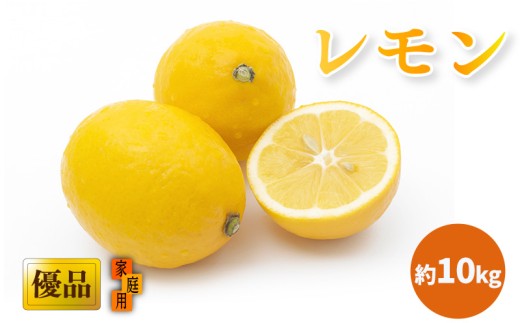 y2026N3{甭z ˓C̓ DiEƒp 10kg b  EG   ̃ ̟EG _ ʌ Ԍ  QY _ L@엿gp  Â