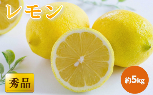 【2026年3月中旬頃から発送】 瀬戸内海の島レモン 秀品 約5kg | レモン 檸檬 れもん  中島のレモン 中島の檸檬 酸味 数量限定 期間限定 レモン 愛媛県産 減農薬 有機肥料使用  甘み 香り レモ