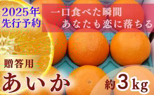 【 2025年 先行予約 】【訳あり】農家直送 名前だけが訳あり あいか 3kg 贈答用 | 紅まどんな と同種 みかん愛媛 松山 フルーツ 果物 くだもの 3キロ 数量限定 期間限定  柑橘 みかん フルーツ