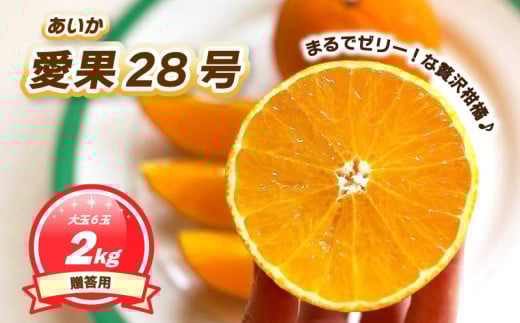 y11{~1{\z p 28 2kg 6ʓ |  ƒp ݂ ʌ ݂ QY ݂ 28 Rs ݂ 28 ݂  28 ~J 