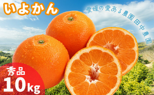 伊予柑 いよかん 約10kg  秀品【1月上旬から順次発送】柑橘類 先行予約 贈答用 ギフト フルーツ 柑橘類 先行予約 果物 フルーツ みかん イヨカン 宮内伊予柑 人気 おすすめ 愛媛 松山 田中農
