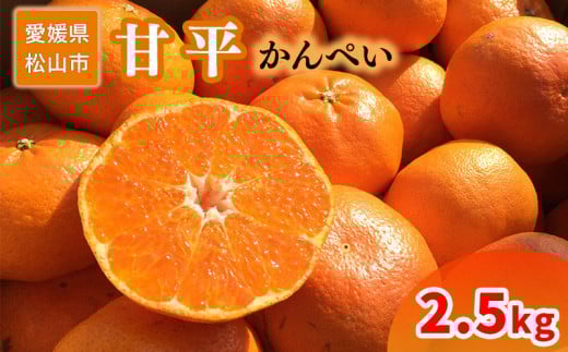 家庭用 甘平 2.5kg愛媛県松山市22000果物・フルーツみかん・柑橘類