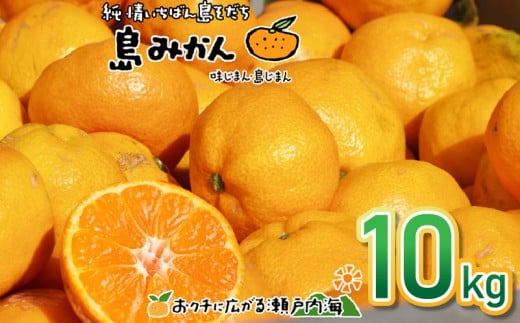 【11月下旬頃から発送予定】温州みかん 10kg  愛媛 中島産 希望の島  家庭用 みかん 柑橘愛媛県松山市22000果物・フルーツみかん・柑橘類