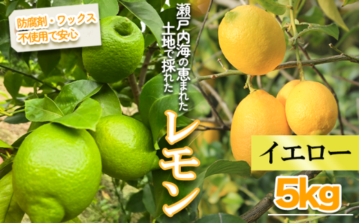 【2026年1月より順次発送】イエローレモン 約5kg |果物 くだもの フルーツ レモン れもん 檸檬 新鮮 かんきつ 柑橘 防腐剤不使用 ワックス不使用 グリーンレモン ぐりーんれもん イエローレ