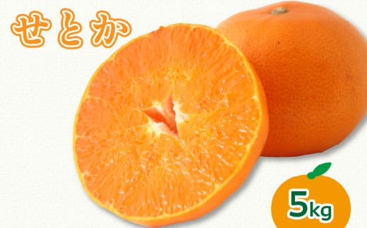 y2026N3{蔭zƂ 5kgQRs22000ʕEt[c݂Ek