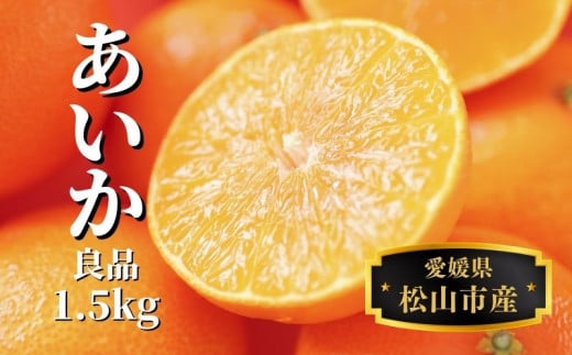 【早期予約受付中!2025年12月〜順次発送】 愛果28号  約 1.5kg 良品 みかん 先行予約 蜜柑 柑橘 果物 くだもの フルーツ お取り寄せ グルメ 期間限定 数量限定 人気 おすすめ 愛媛県 松山市愛媛