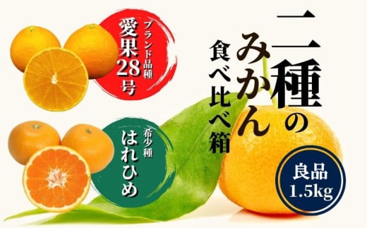 【早期予約受付中!2025年12月〜順次発送】二種のみかん食べ比べ箱 【愛果 28 号・はれひめ】 約 1.5kg 良品 みかん 先行予約 蜜柑 柑橘 果物 くだもの フルーツ お取り寄せ グルメ 期間限定 数