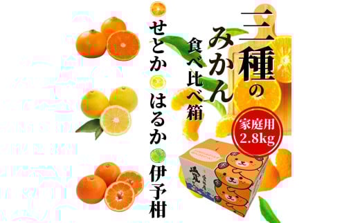 <2026年2月頃発送> 【先行予約】 【三種のみかん食べ比べ箱】せとか・はるか・宮内伊予柑 (家庭用)約2.8kg 食べくらべ 愛媛 みかん 詰め合わせ セット 先行予約 蜜柑 柑橘 果物 くだも