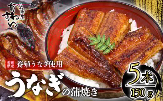 【容量選択可】〈うなぎ屋かわすい〉愛媛県松山市養殖うなぎを使用!うなぎ蒲焼 5本 (1尾:150〜169g)  |うなぎ ウナギ 鰻 蒲焼き 国産 お取り寄せ グルメ ふるさと納税  簡単調理 土用丑の