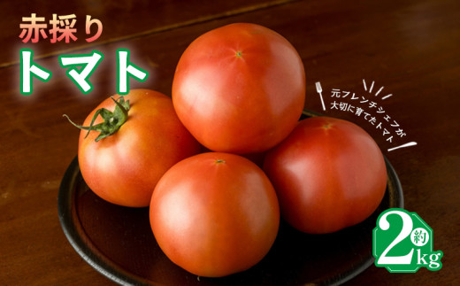 g}g 2kg 팎g}g ԍ̂ moto farm n  Â _ oX  Ƃ܂ Yn ʌ VN Y t[cg}g T_ Hp W[Xp N  lC  Mtg