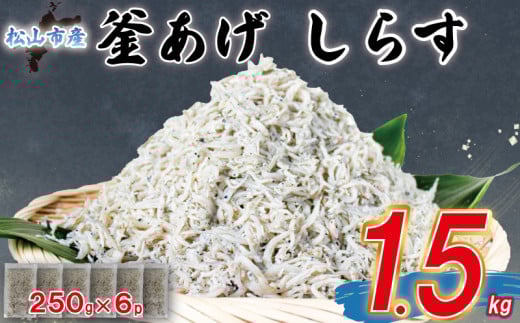 ƒp g 炷 1.5kg | ƒp 󂠂 s Y 炷 ܂ ̍ Ⓚ   ֗  y ٓ ȒP ͂̂ Hi C̍K 炷 O H