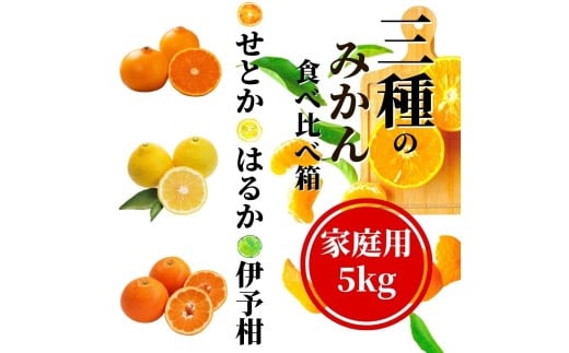 【先行予約】 【三種のみかん食べ比べ箱】せとか・はるか・宮内伊予柑 (家庭用)約5kg <2月から順次発送> | 愛媛 みかん 先行予約 蜜柑 柑橘 果物 くだもの フルーツ お取り寄せ グルメ