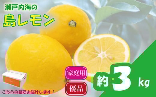 【先行予約】 瀬戸内海の島レモン (優品・家庭用) 3kg | レモン 檸檬 れもん フルーツ 【2026年3月中旬頃から発送予定】新鮮 柑橘 ふるーつ 果物 くだもの 農家直送 産地直送 期間限定 愛媛県