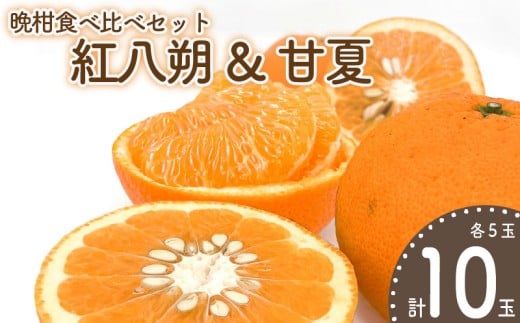 【先行予約】晩柑食べ比べセット〜紅八朔&甘夏〜(各5玉) | 柑橘 かんきつ 晩柑 紅八朔 甘夏 フルーツ 果物 みかん 期間限定 みかん カンキツ 蜜柑 ミカン mikan 【2026年3月中旬頃から発送予定