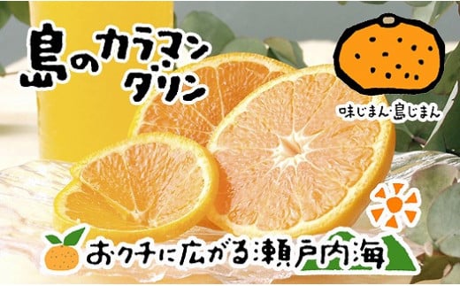 【2026年5月上旬から発送予定】完熟春みかん カラマンダリン 5kg  M~2Lサイズ愛媛県松山市18000果物・フルーツみかん・柑橘類