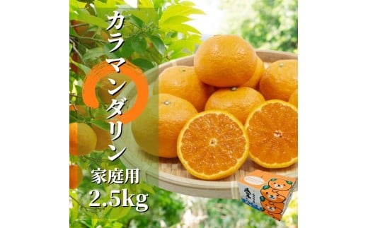 【先行予約】 カラマンダリン 家庭用 約2.5kg 【4月下旬頃より発送】 | 愛媛 みかん 先行予約 柑橘 お取り寄せ グルメ 期間限定 数量限定 人気 おすすめ 愛媛県 松山市愛媛県松山市12000果物・