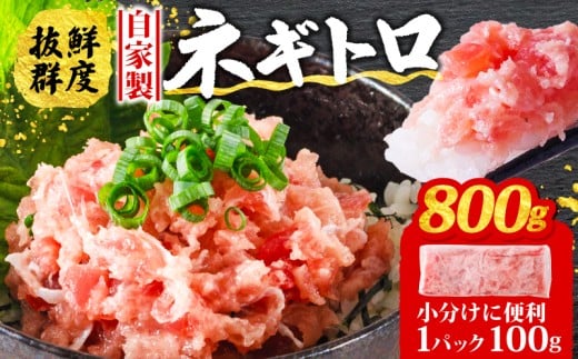 【12月発送】ネギトロ 800g ( 100g×8パック )愛媛県松山市8000魚介・海産物鮮魚