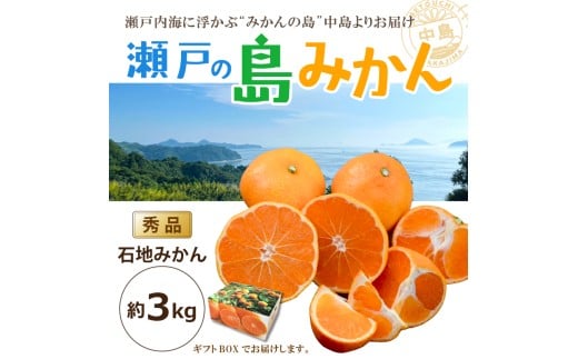 【先行予約】 瀬戸内海の島みかん (秀品・ギフトBOX入)【石地みかん】約3kg | 柑橘 みかん 密柑 オレンジ フルーツ 果物【2026年1月頃発送予定】 愛媛県 松山市 ココオ Koko'o愛媛県松山市13000果