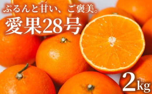ys\zy2025N11{z 28 2kg 28 Q ݂  28  28 g}hi g܂ǂ Ɠi  ACJ k ʕ  Q݂̂ 