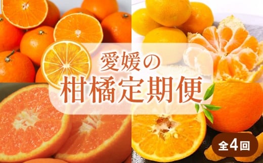 ys\zyS4z kցb  ݂  ͂Ђ 悩 B B݂  28 g܂ǂ Ɠi ɗ\ k   Â݂ Mtg Q