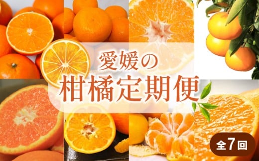 【先行予約】【全7回】 柑橘定期便|  興居島みかん あいか はれひめ いよかん温州 温州みかん 愛果 愛果28号 紅まどんな と同品種 伊予柑 せとか 神ポン カラマンダリン 不知火 柑橘 定期便