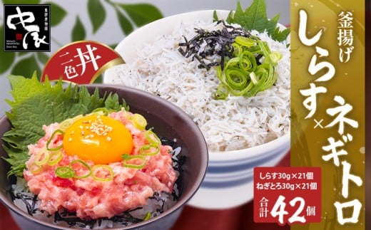 g炷ƃlMgFZbg (炷30g×21ElMg30g×21^v42pbN)  |  Ⓚ  g炷  i 炷 炷pX^ 炷`[n u 炷 CN 