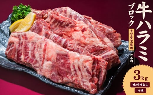 牛ハラミ ブロック 3kg タンブリング加工 牛ハラミ はらみ 牛肉 肉 個包装 冷凍 焼肉 焼き肉 BBQ バーベキュー ステーキ 丼物 簡単調理 炒め物 家庭用 業務用 人気 お取り寄せ 愛媛県 松山市愛