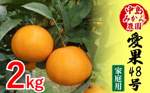 【2026年3月から発送予定】 愛果48号 家庭用 2kg | あいか 家庭用 紅プリンセス と同品種 先行予約 高級 蜜柑 ミカン みかん ジューシー 甘い  柑橘  人気 お取り寄せ  期間 数量 限定 愛媛 松山