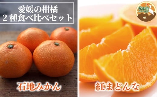 【2026年1月発送予定】 紅まどんな・石地みかん食べ比べセット 【紅まどんな 約3kg】【石地みかん(家庭用・優品) 約5kg】 | 柑橘食べ比べ みかん オレンジ 紅マドンナ 愛果 ミカン mikan 柑橘 か