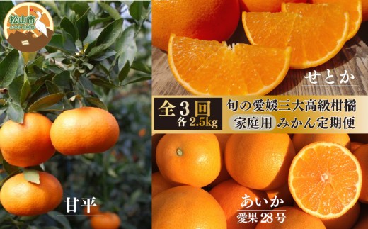 【2025年12月上旬から発送】【定期便 全3回】旬の愛媛三大高級柑橘 家庭用 【愛果28号 せとか 甘平】約2.5kg  | 柑橘 みかん 果物 あいか 紅まどんな と同品種 くだもの フルーツ おすすめ 高級