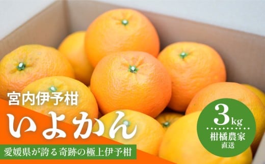 【先行予約 2026年1月中旬から発送予定】 いよかん 宮内伊予柑 3kg 2025年度 みかん 3kg みかん 愛媛 みかん 松山 みかん 農家直送 みかん 不揃い いよかん 家庭用 柑橘 愛媛 松山 北条 果物 フル
