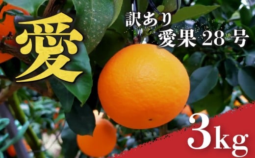 愛媛 みかん 愛果28号 訳あり ご家庭用 3kg あいか 【先行予約 2025年12月上旬から発送】 |  紅まどんな と同品種 柑橘 みかん まどんな ワケアリ 柑橘 みかん 果物  おすすめ 高級 人気 お取り寄