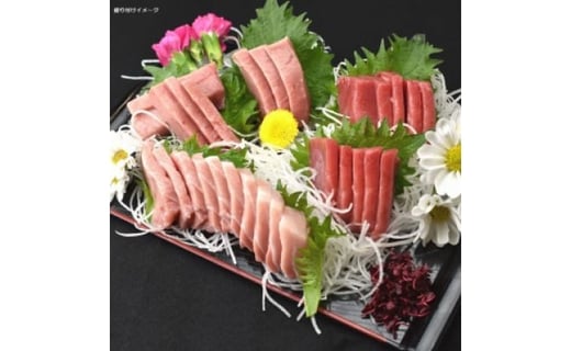 本州最南端!『串本まぐろ』 約400g 三味(大トロ、中トロ、赤身)食べ比べセット【evg100】和歌山県串本町22000魚介・海産物鮮魚