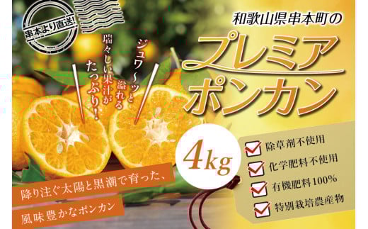 【先行予約】極上!プレミアポンカン 2L〜3Lサイズ 4kg 【1月上旬〜2月上旬発送予定】 柑橘 ぽんかん フルーツ みかん ミカン オレンジ 限定 旬【sse102】和歌山県串本町22000果物・フルーツみ